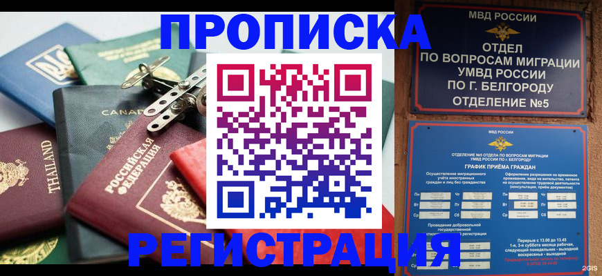 временная регистрация недорого в Ярославле